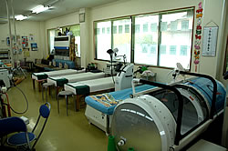 ���Î��̎ʐ^