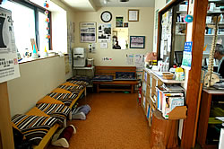 �ҍ����̎ʐ^